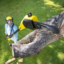 Best Pest Control for Lawns  in Alcoa, TN